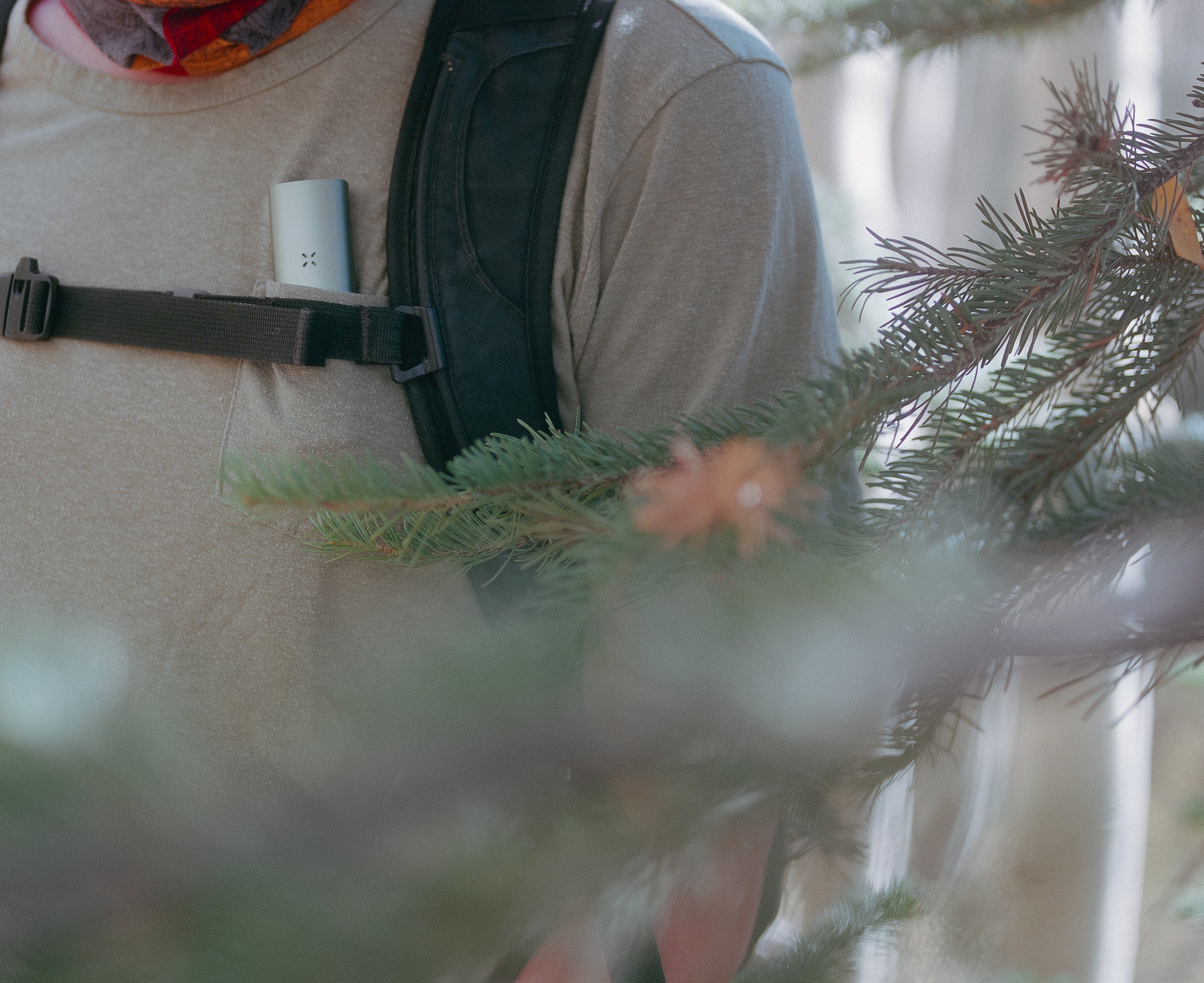 Medijane: Der ultimative tragbare Vaporizer Banner