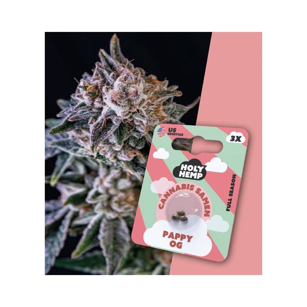 Pappy OG feminisierte Cannabissamen - Full Season