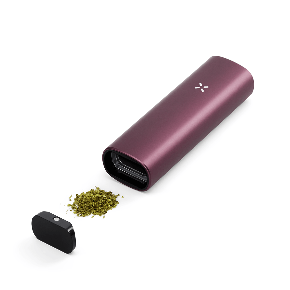 PAX PLUS ELDERBERRY - Vaporizer - Medijane