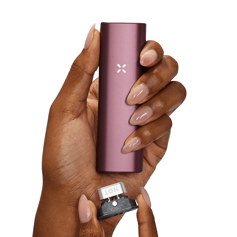 PAX PLUS ELDERBERRY - Vaporizer - Medijane