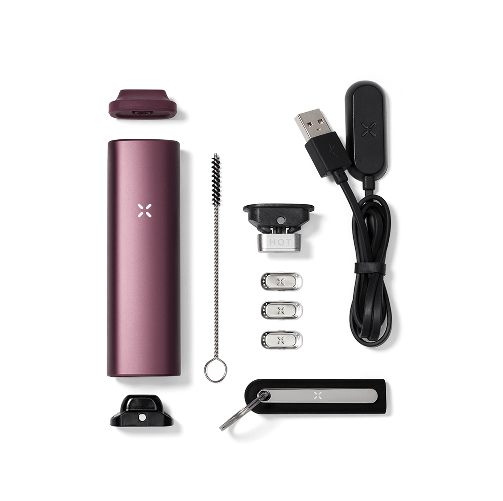 PAX PLUS ELDERBERRY - Vaporizer - Medijane